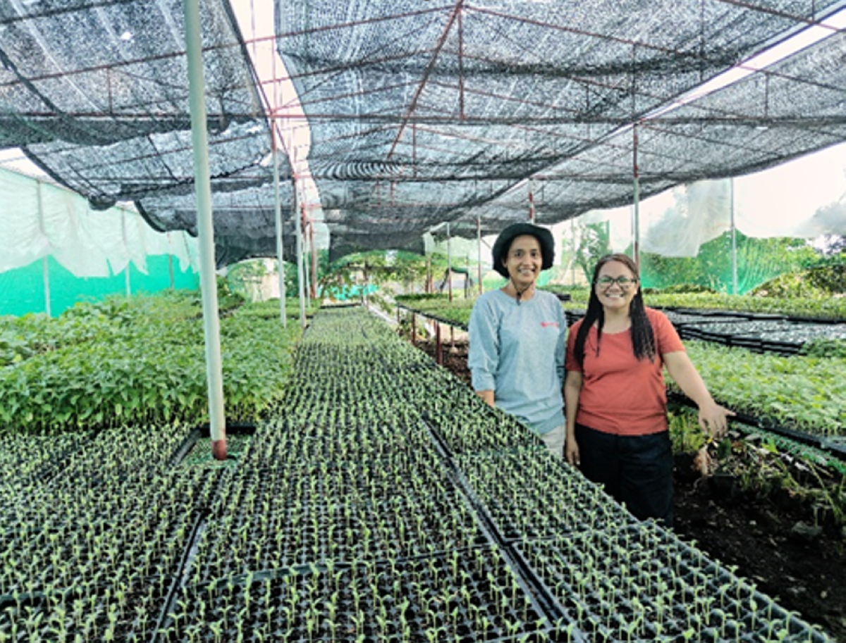 Ni Macon (kanigid) ken ti autor iti maysa a paset ti seedling nursery.