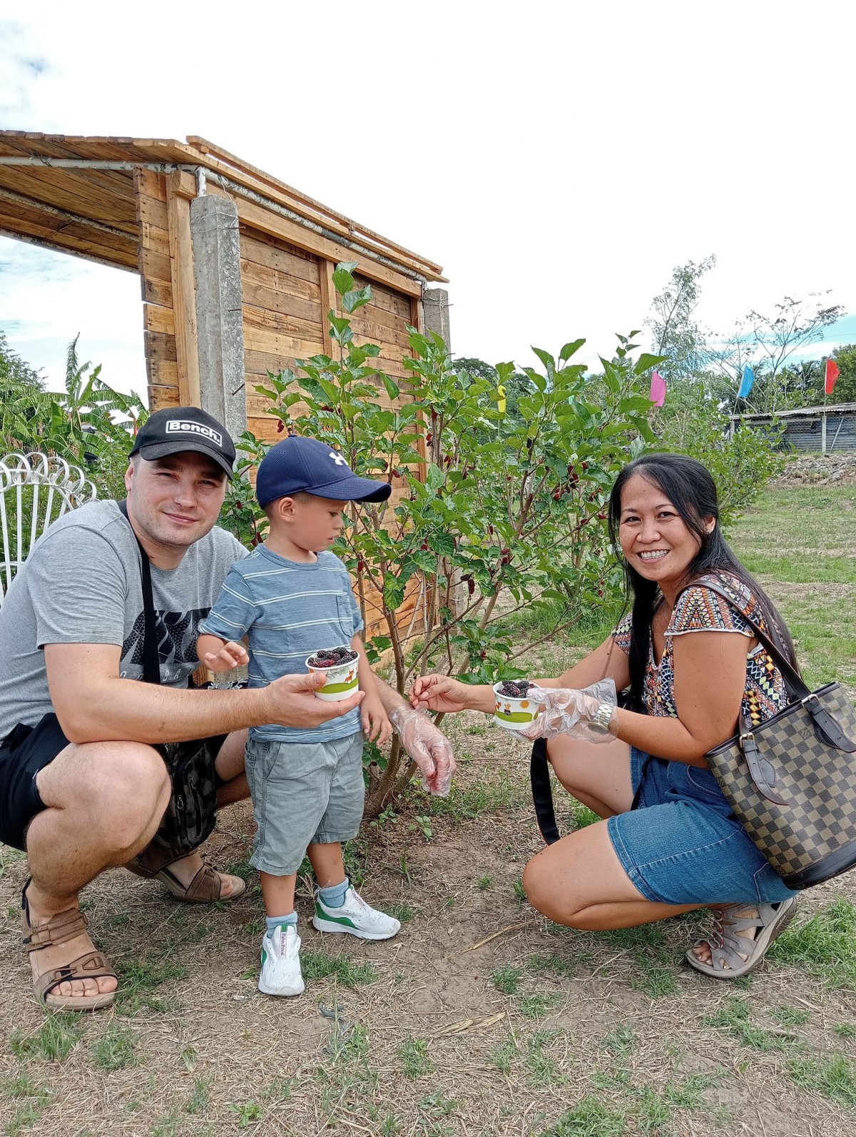 Maysa a pamilia a nagpuros iti mulberry.